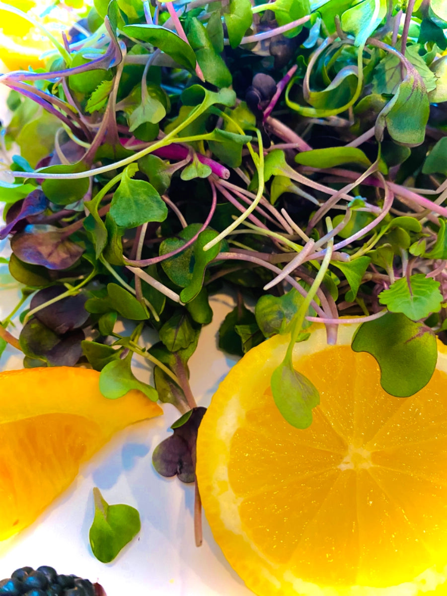 Artisan Heirloom Microgreen Salad
