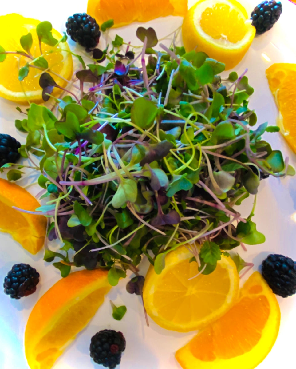Artisan Heirloom Microgreen Salad